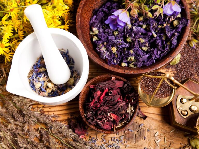 moździerz z ziołami. Obrazek w artykule Jak kiedyś leczono anginę? Warto poznać dawne metody leczenia