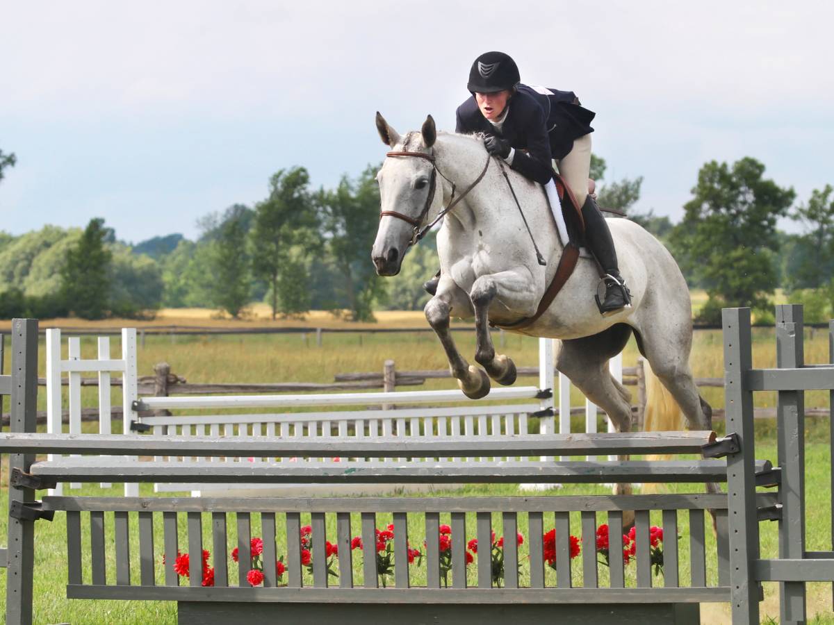 Dżokej na koniu. Obrazek w artykule Masztalerz – wszytko o tym zawodzie. Czym dziś zajmują się masztalerze?