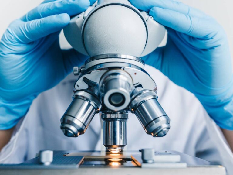 Tubus mikroskopu. Obrazek w artykule Mikroskop od wynalazku do współczesnego zastosowania. Ewolucja i wykorzystanie mikroskopu