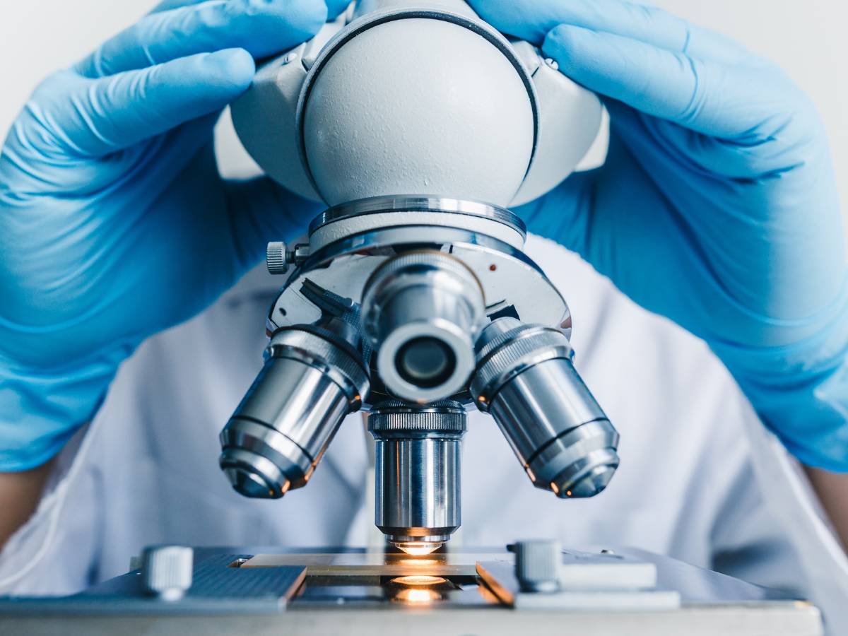 Tubus mikroskopu. Obrazek w artykule Mikroskop od wynalazku do współczesnego zastosowania. Ewolucja i wykorzystanie mikroskopu