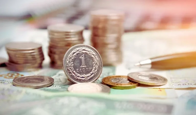 Na zdjęciu widoczna jest polska moneta o nominale 1 złoty, umieszczona na pierwszym planie, oparta na innych monetach. W tle znajdują się stosy monet oraz banknoty, które tworzą rozmyte tło, nadając obrazowi głębi i perspektywy. Po prawej stronie leży elegancki długopis, sugerujący kontekst finansowy lub administracyjny. Obraz oddaje poczucie wartości pieniądza, planowania budżetu i zarządzania finansami. Stos monet w tle symbolizuje oszczędności, stabilność lub wyzwania związane z gromadzeniem środków. Można odczuć kontrast między pojedynczą monetą na pierwszym planie a większymi stosami w tle, co może kojarzyć się z pytaniem - ile zarabia osoba z orzeczeniem - oraz tematyką dostępności finansowej, wynagrodzenia czy wsparcia socjalnego dla osób z niepełnosprawnościami.